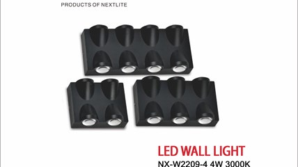 LED OUTDOOR LAMP NX-W2209 4W/6W/8W