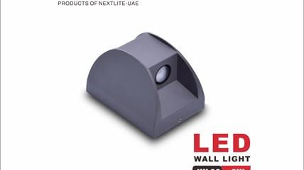 LED WALL LIGHT (WL29 6W)