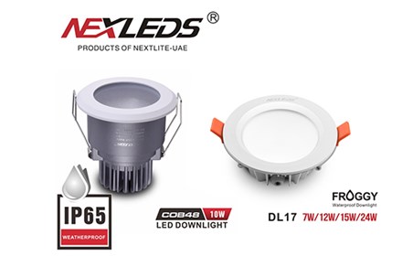 IP 65 Downlight